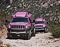 Ab diesem September wird Pink Jeep Tours als erster unabhängiger Reiseveranstalter innerhalb des Death Valley-Nationalparks seine Tour-Dienste anbieten. Foto: PINK JEEP TOURS